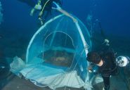 Camping under water