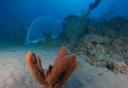 Camping under water