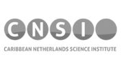 logo-cnsi-bw.jpg