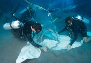 Camping under water