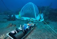 Camping under water